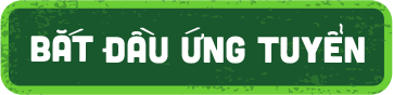 Bắt đầu ứng tuyển