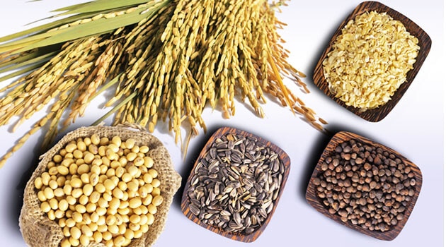 Những lợi ích khi ăn ngũ cốc nguyên cám